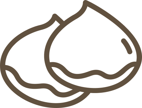 Distribuidores Especializados