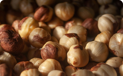 Avellana europea tostada